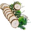 DIY Pine Wood Tree Ring Slices: Ideal for Decorative Backgrounds and Handmade Projects