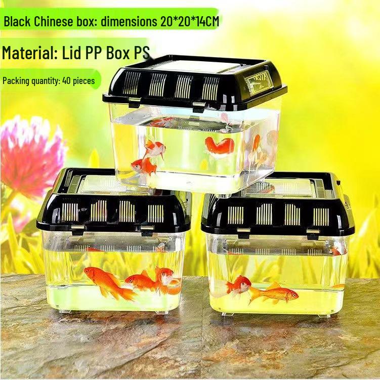 Clear Plastic Fish Tank with Sunning Platform - Available in Large, Medium, Small; Perfect for Goldfish or Turtles.