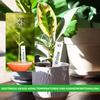 200 Stk Pflanzenschilder zum Beschriften Plastik Pflanzschilder für Draussen Wetterfest Pflanzenstecker Gartenschilder - 10x2CM