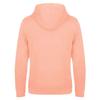 Awdis Mens Lusaka Regen Ecology Hoodie