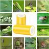 Double-Sided Sticky Insect Tape For Fruit Trees Yellow Stripe For Greenhouses Insect Control Insect Attraction