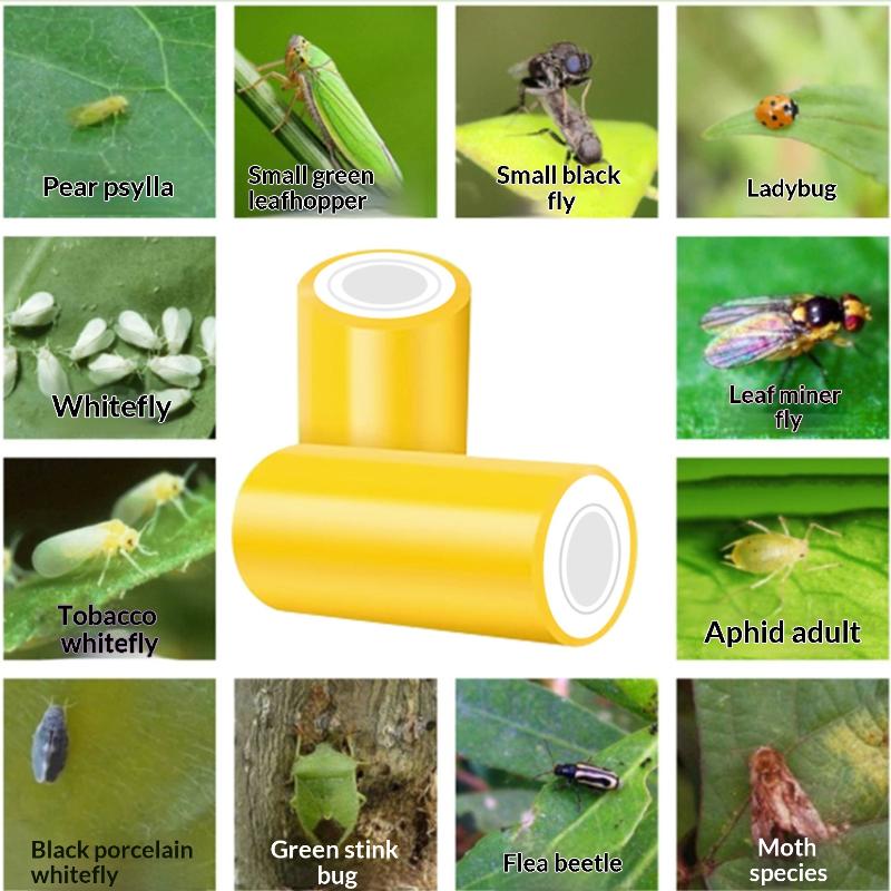 Double-Sided Sticky Insect Tape For Fruit Trees Yellow Stripe For Greenhouses Insect Control Insect Attraction