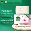 Dettol Healthy Antibacterial Moisturizing Soap