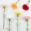 5Pc Moisturizing Latex Carnation Artificial Real Touch Silk Flower Mother's Day Bouquet Gift Wedding Home Party Decor Carnation