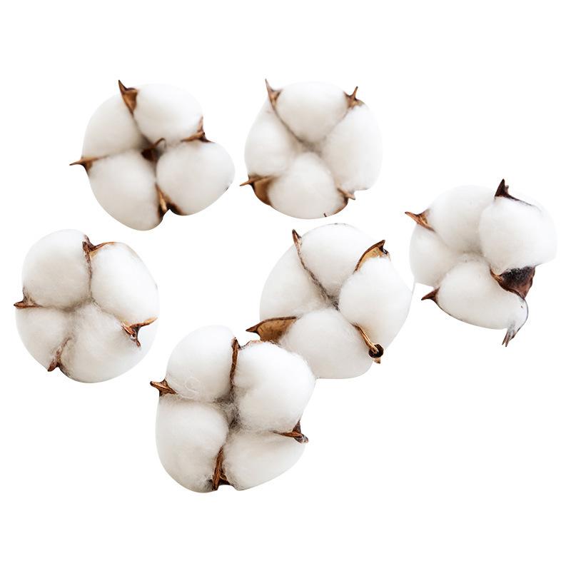 10pcs Cotton Head Natural Dried Flower Artificial Flower Cotton Home Christmas Decor DIY Dried Cotton Bunch Flower Arrangement