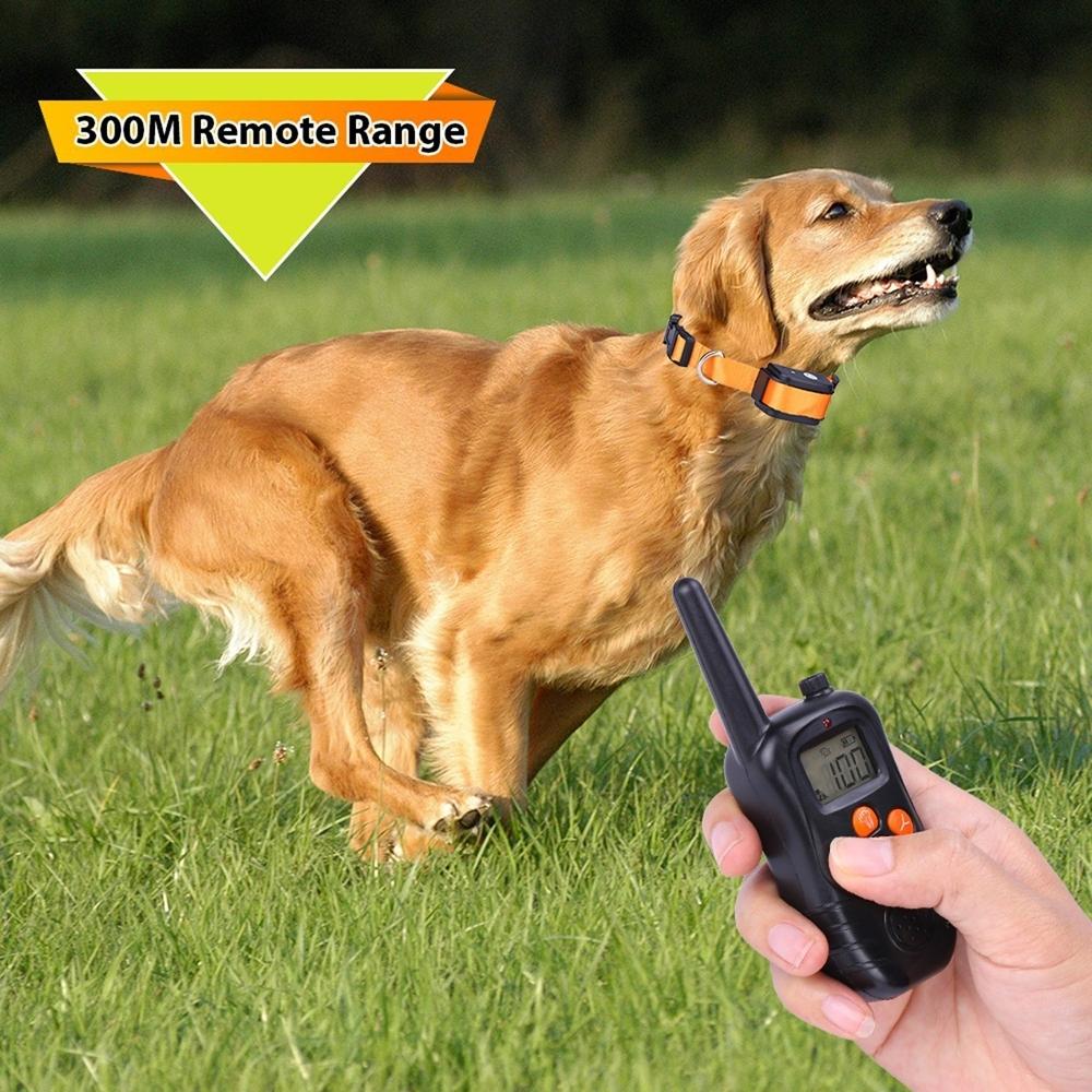 remote control shock collar