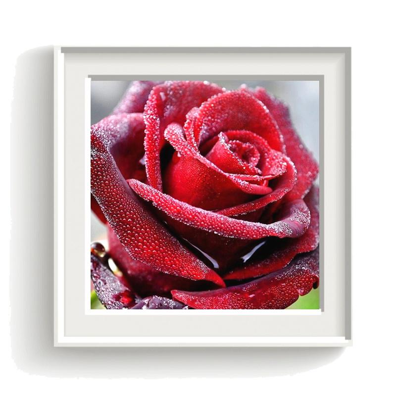 Diamond Painting Flower Diamond Art Mosaic Cross-Stitch Diamond Painting Full Drill New Arrivals