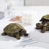 Simulation Turtle Jewelry Storage Box with Lid Resin Tortoise Trinket Keys Organizer Container Animal Statue Figurine Desktop Decoration Ornament