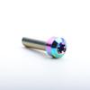 TS 10pcs Titanium Bolt M8X10-100mm Inner Torx Head Screw T40 for Bicycle and Motorcycle Modification Caliper Modification