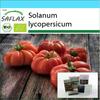Gift Set - Organic - Tomato - Rouge De Marmande - 10 Seeds - With Gift Box, Card, Label and Potting Substrate - Solanum Lycopersicum