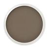 PanPastel Raw Umber Shade 27803