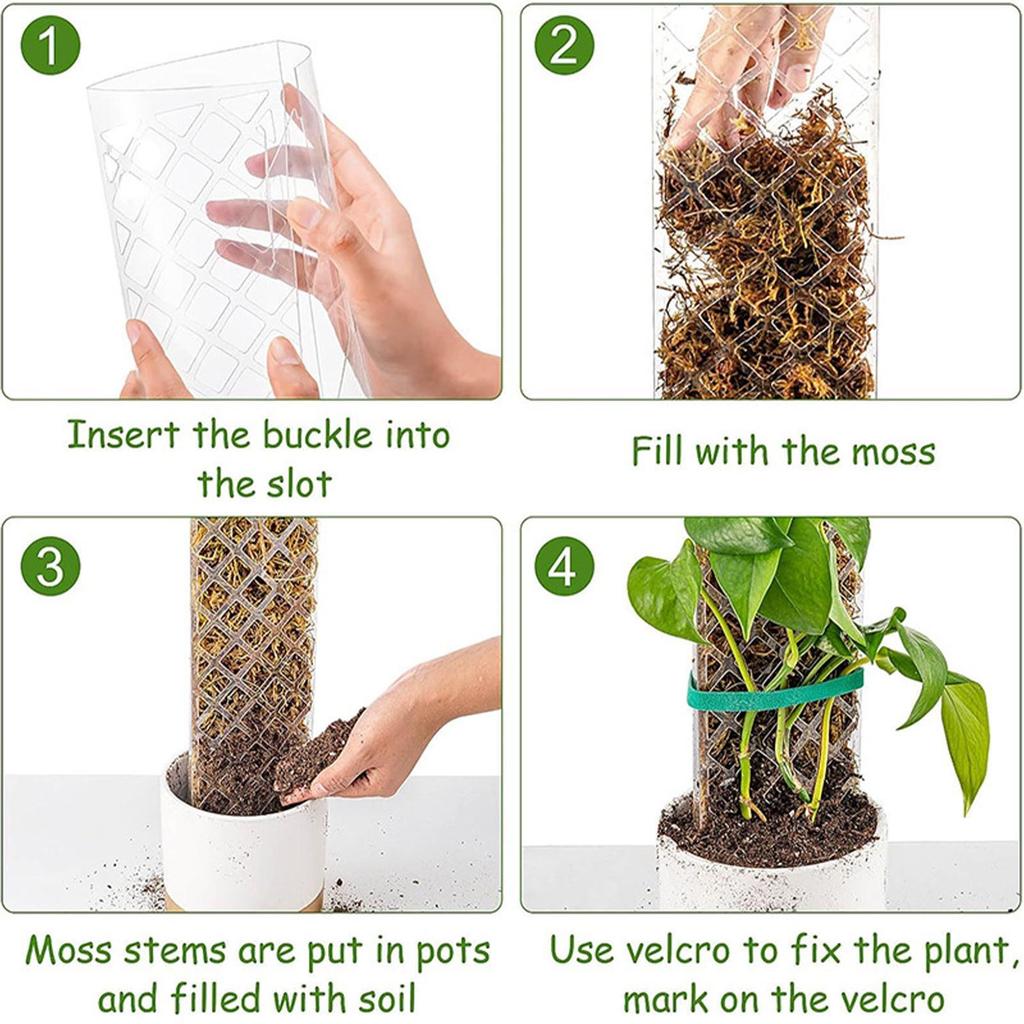 4pcs Plant Moss Pole Indoor Moisture Retention Stackable Transparent Monstera Plant Support Moss Stick Help Plants Grow upwards