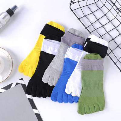 Ropa y accesorios para hombre – Medias