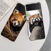 Popular Red Pandas Phone Case For Samsung Z Flip 7 6 5G Galaxy Z Flip 5 4 3 Black Hard Cell Cover Luxury PC Shell Coque