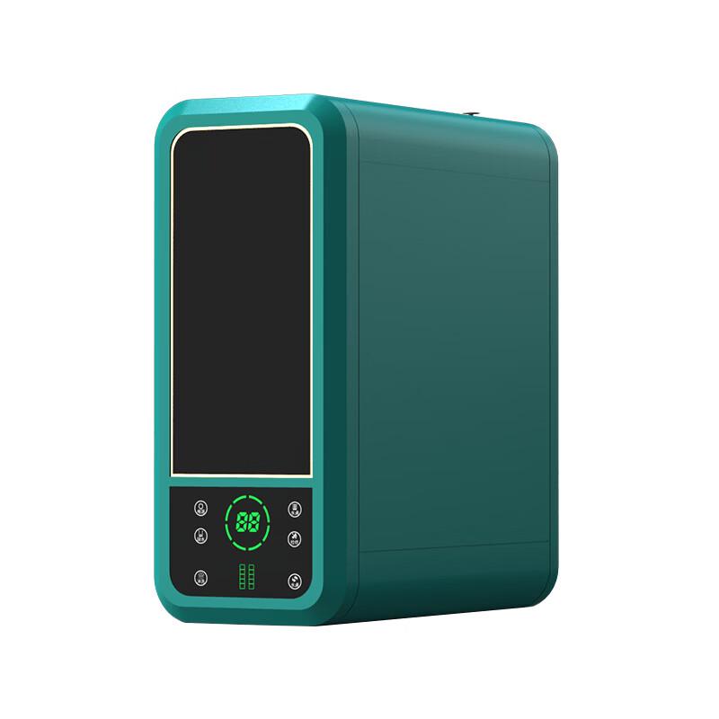 ZISIZ 600G Direct Drinking Water Purifier