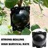 5pcs Plant Rooting Equipment Air Layering High Pressure Propagation Ball Graft Box Breeding Case For Garden Graft Box Sapling