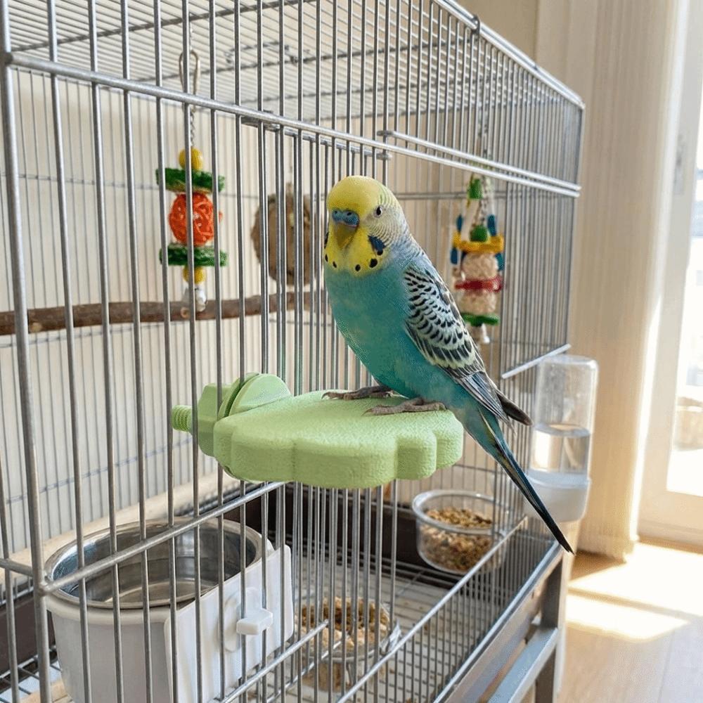 Bissfester Papageienständer Verschleißfester Schnabelschleifständer Vogelzubehör Hüpfständer Wellensittich