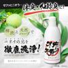 Săpun lichid de corp Magical Kaki no Sei cu suc de persimmon, parfum verde, pentru mirosul corpului și îmbătrânire, fabricat în Japonia (Proaspăt / 480ml) Familie prietenoasa (extrem de