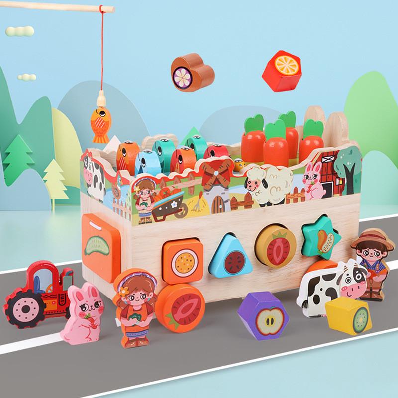 Farm Themed Animal Wooden Brain Teaser Puzzle For Preschool Games Educational