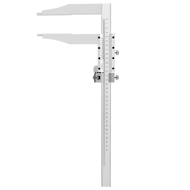 Industrial Precision Stainless Steel Vernier Caliper with Extended Jaw (0-300mm, 0-500mm, 0-600mm)
