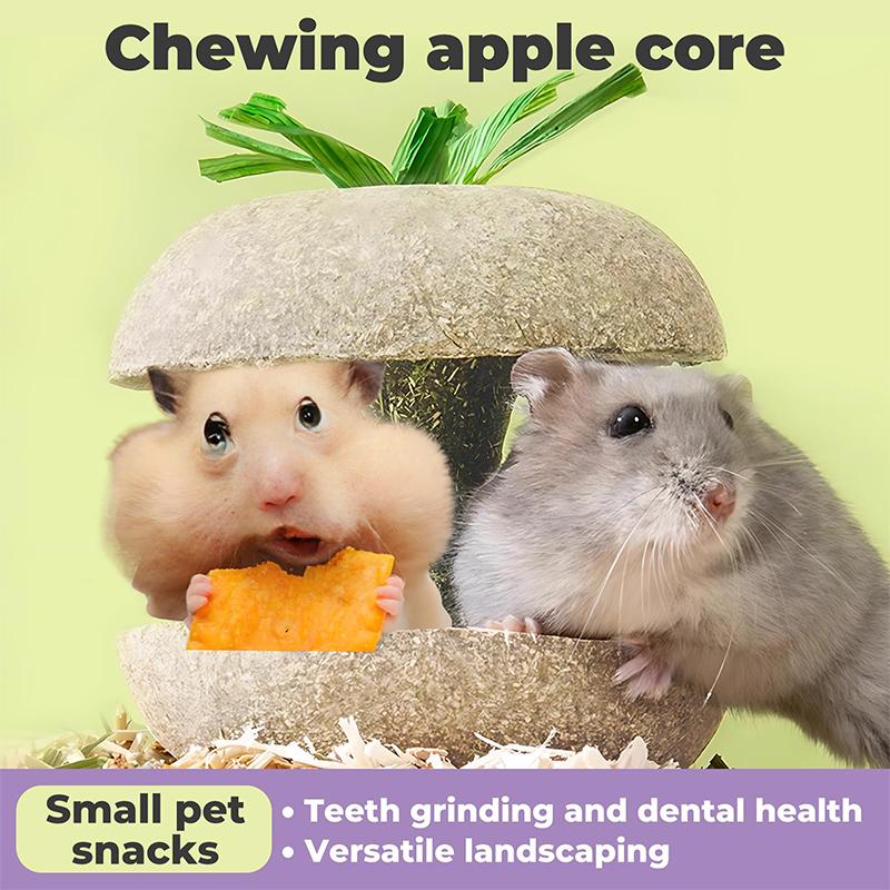 Hamster Chew Toys For Teeth - Guinea Pig Chew Toys For Teeth Food Chews Treats Hamster Cage Accessories