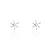 POPPI The classical star earrings no.2