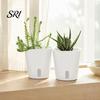 Small Planters for Hoya Cuttings Self Watering Plant Pots Indoor Plants, with Water Level Indicator, Clear Propagation Containers Carnivorous