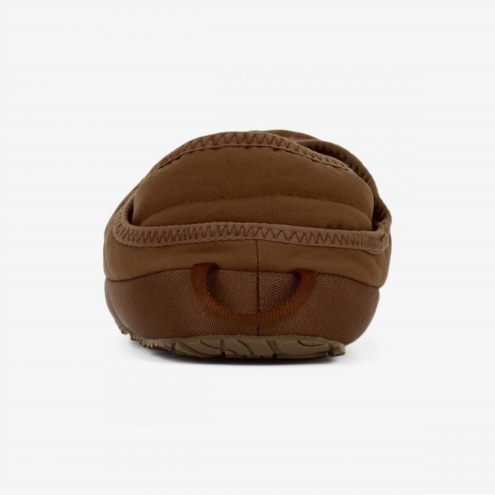 [north Face Official] Ns93q67c Nupsy Mulle Brown