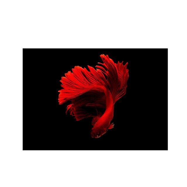 

Бетта Холст Картина Настенное Искусство Красная Рыба Картины Подводные Плакаты и Принт Животные Настенные Панно для Декора Гостиной Quadro 21cm×30cm NoFrame