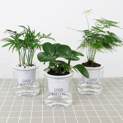 Deko & Wohnaccessoires – Dekorative Blumentöpfe