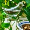5pcs Automatic Plant Watering Bulb, Bird Shape for Sustained Release, Vacation Plant Care with Simple Vacuum Principle