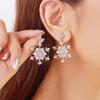 Crystal Zircon Pearl Drop Earrings Dangle Piercing Long Tassel Earring  Party Accessories