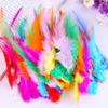 100PCS Stylish Plumage Trims For Enthusiasts Addition To Accessories And Festival Decoration