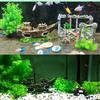 Small Landscaped Aquarium Pirate Fish Tank Boat Artificial Ornaments Viewfinder Glass House Resin