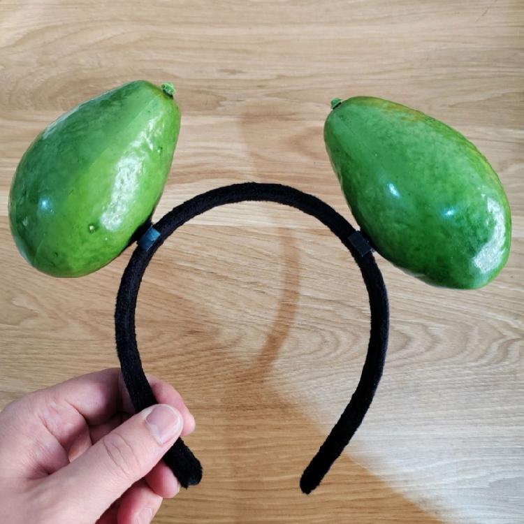Realistisch Fruit/Groente Thema Hoofdband Creatieve Hars Haarhoepel Voor Feest En Dagelijkse Outfit Verjaardag Viering Accessoires