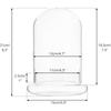 Cupola di Vetro con Foro per l'Aria Campana di Vetro a Cloche con Base Espositore da Tavolo per la Casa Contenitore Terrario Trasparente per Piante, Terrario
