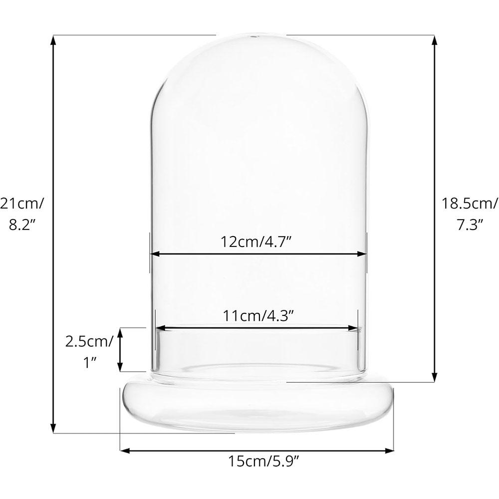 Cupola di Vetro con Foro per l'Aria Campana di Vetro a Cloche con Base Espositore da Tavolo per la Casa Contenitore Terrario Trasparente per Piante, Terrario