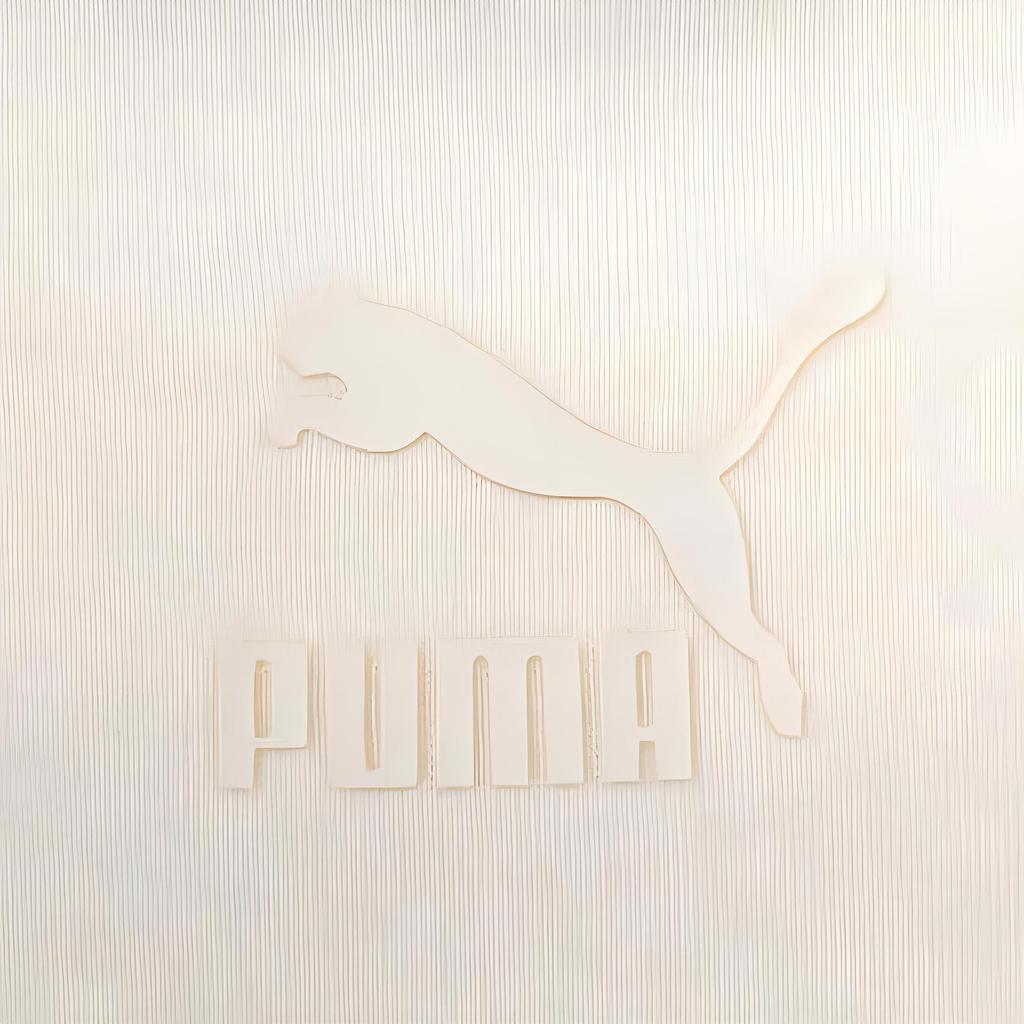 Puma Letter Print Round Neck Casual Long Sleeve Sweatshirt Women sweatshirt Beige 631073-87