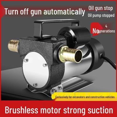 Electric Oil Pump 12v/24v Universal, 220v Diesel Pump, Self-Priming Refueling System
