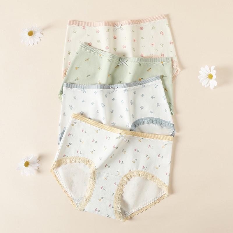 Fenteng 4-Pack Breathable Cotton Elastic Comfortable Hip Wrapping Women's Underwear