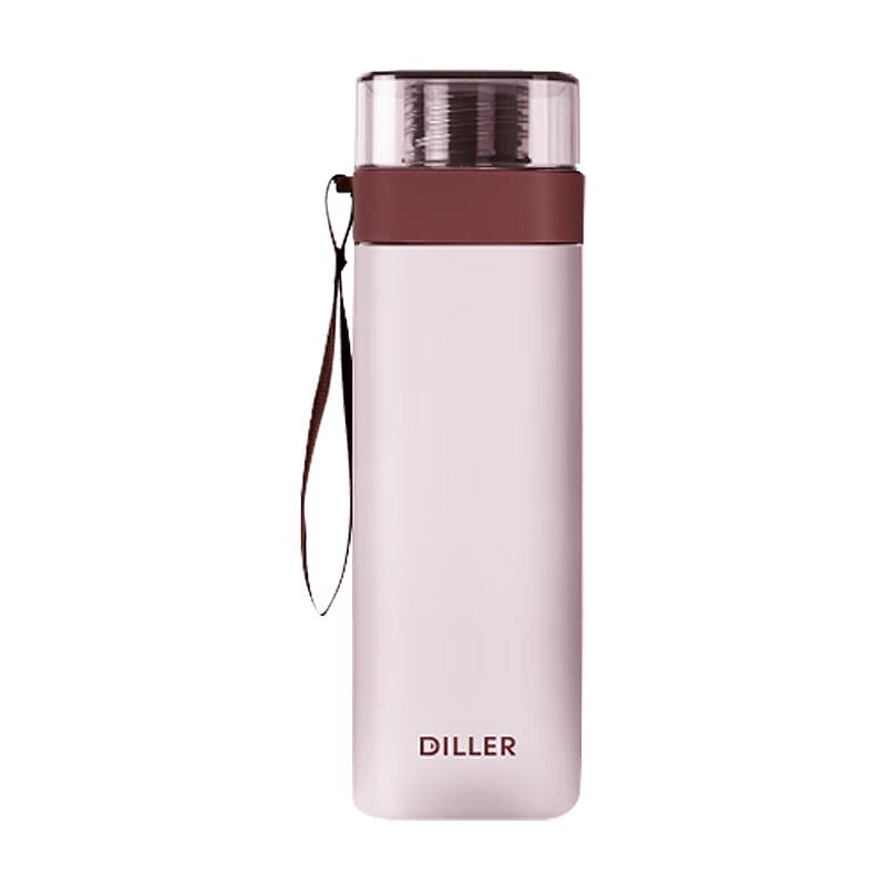 

Dilebeer Frosted Stainless Steel Water Bottle