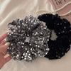 1/2/3pcs Sequin Fashion Exquisite Shiny Large Hair Loop Ponytail Holders Rubber Bands Hair Accessories For Women Party