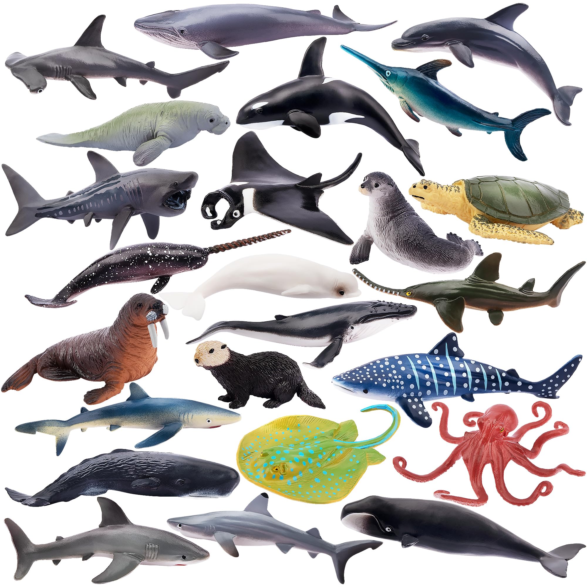 

TOYMANY Marine Life Figure Miniature Marine Animal Realistic Animal Ocean Popular Birthday New Ages 6 and Up 24-Piece Set, Models, Models, Toys,