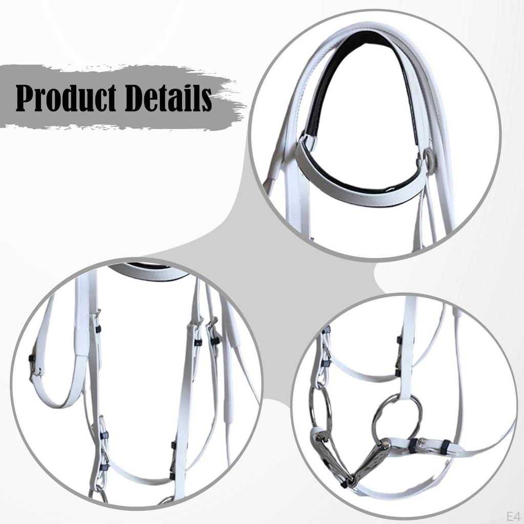 Trense mit Zügeln, Kopfstück-Zubehör, Reitseil, Edelstahlgebiss für Kursstunden und