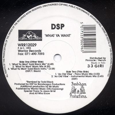 12inch Record DSP - What Ya Want WRR12029 Warrior Records 1993 UK Dance & Electronica Used
