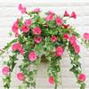 Wedding Home Decor Bouquet Fake Morning Glory Artificial Flowers Artificial Plants Silk  Flower