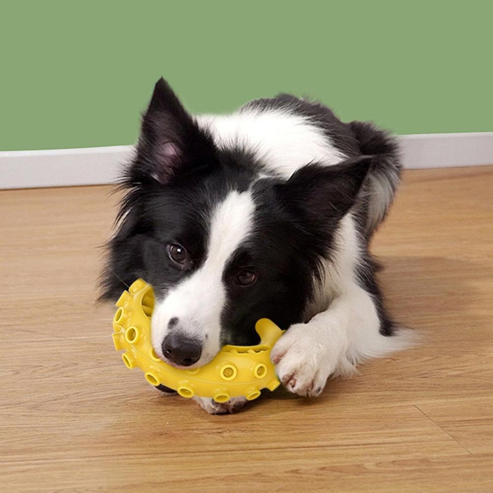 Tpr Haustier Hundespielzeug für kleine mittlere Hunde Bissfestes Hundekauspielzeug Hundezahnreinigung Spielzeug Haustierbedarf
