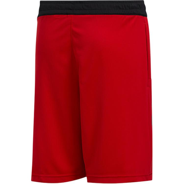 Adidas Kids Shorts Moderate FN5668