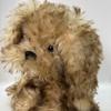 [USED] Teddy bear dog stuffed toy