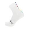 Santini UCI Official High Profile Cycling Socks, White/Arcenciel